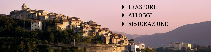 organizza visita
